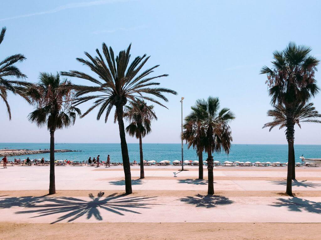 W czasie Barcelona Open wypoczywamy na plażach pod palmami